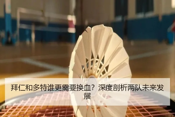 拜仁和多特谁更需要换血？深度剖析两队未来发展