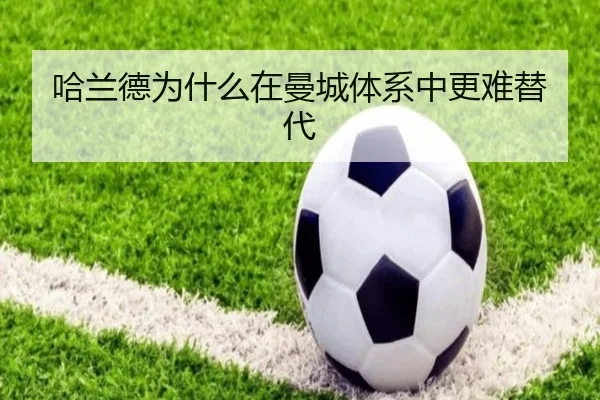 哈兰德为什么在曼城体系中更难替代